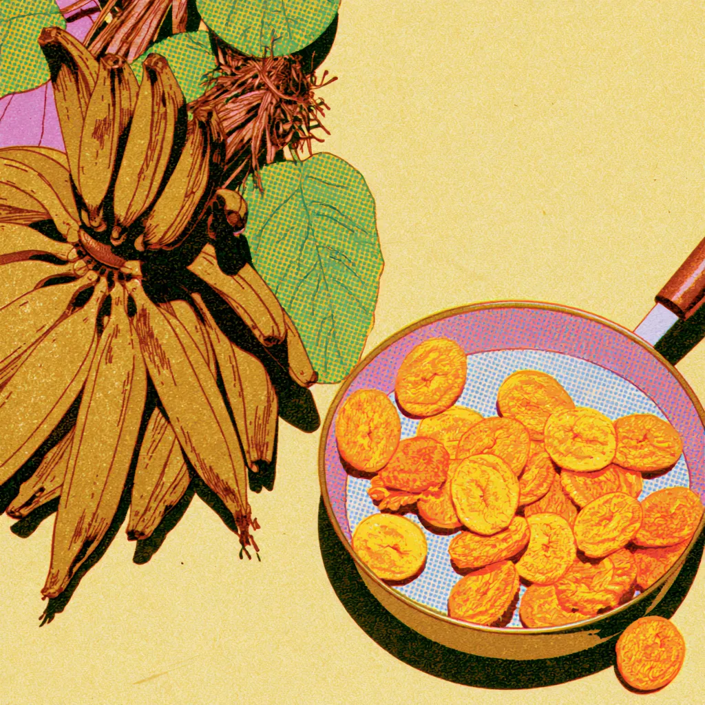Plantain study